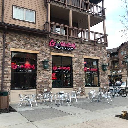 Grooveberries Frozen Yogurt